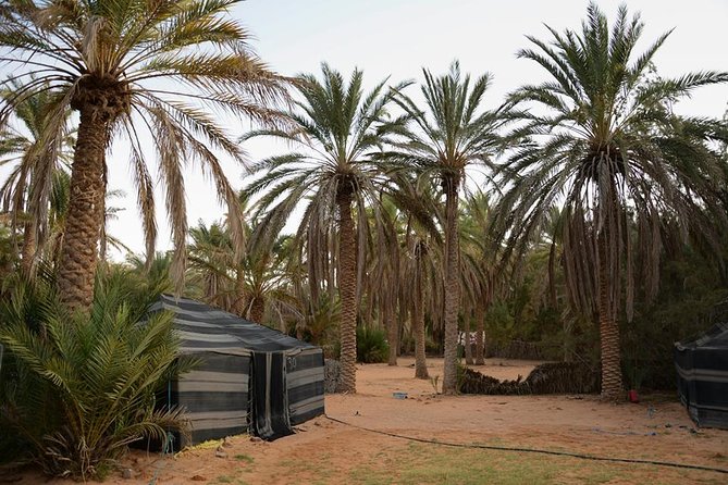 Tatouine - Cheneni - Ksar Ghuilaine - Matmata: 2 days visit - Ksar Ghilane: six hours at an oasis