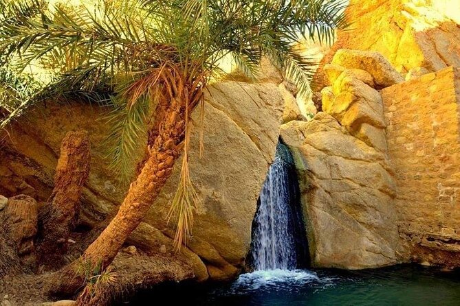 The Tunisian South between Oasis and Mountain: 3 Days / 2 Nights Douz and Tozeur - Key Points Before You Book