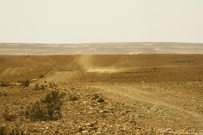 The Wonders of Tunisia: 8 days / 7 nights - Ksours and Berber villages: architecture with a human scale