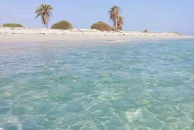 Tour of the island of Djerba the island of Lotophages - Why this Djerba tour works well