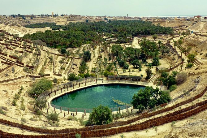 Tozeur and the mountain Oasis - Key points at a glance