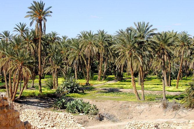 Tozeur and the mountain Oasis - Chebika, Tamerza, and Mides