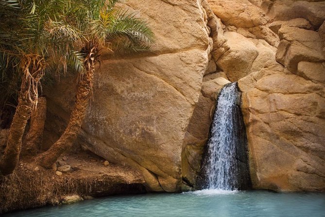 Tozeur Private Half-Day Tour: Tamerza, Chebika and Mides Canyons - Why these three oases belong on your Tozeur plans