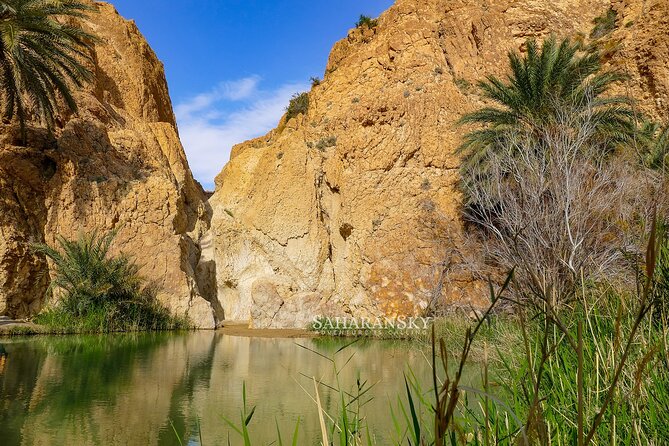 Tozeur Private Half-Day Tour: Tamerza, Chebika and Mides Canyons - Chebika: the Oasis of the Sun