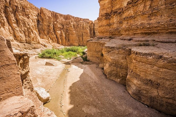 Tozeur: Tamerza, Chebika, Mides and Star Wars locations Day Tour - Sidi Bouhlel Canyon and its film connection