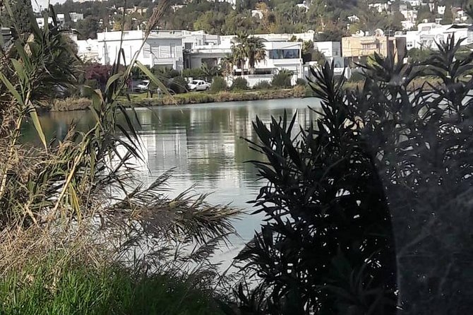 Tunis, Carthage and Sidi Bou Said Self-Guided Excursion from Hammamet - Carthage connects several sites across a wide area