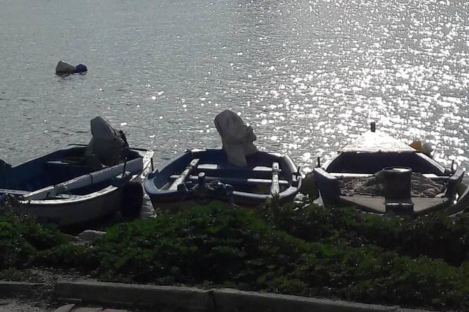 Tunis, Carthage and Sidi Bou Said Self-Guided Excursion from Hammamet - How the timing works from the 8:00 am start