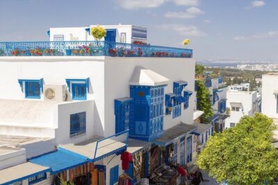 Carthage, Bardo Museum, Sidi Bou Said & Medina Group Tour