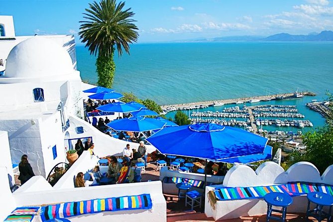 Tunis: Carthage, Bardo Museum, Sidi Bou Said & Medina Group Tour - Café des Délices and the lunch question