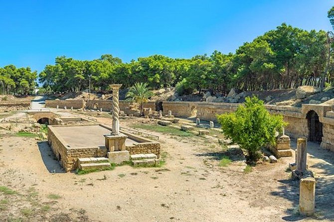 Tunis: Carthage, Bardo Museum, Sidi Bou Said & Medina Group Tour - The Bardo Museum and Tunisia’s long timeline