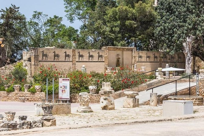 Tunis Group Tour: Carthage, Sidi Bou Said, Bardo museum & Medina - Carthage: two hours among the ruins