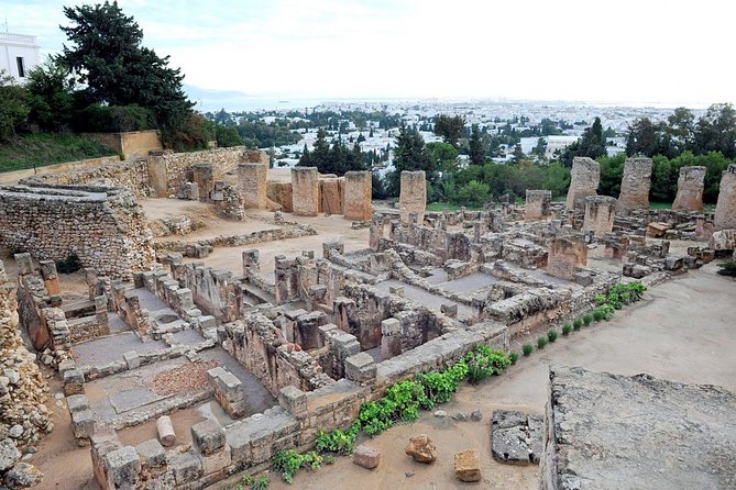 Tunis, Sidi Bousaid and Carthage Day Trip from Monastir - Who should book this Monastir excursion?