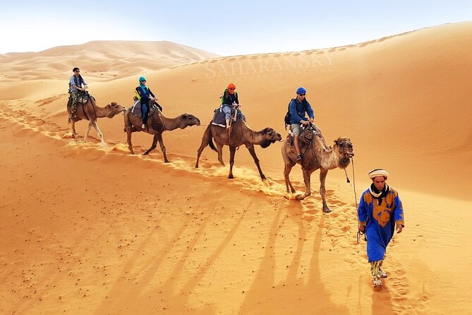Tunisia Sahara Desert Camel Ride in Douz - Key points to know before booking
