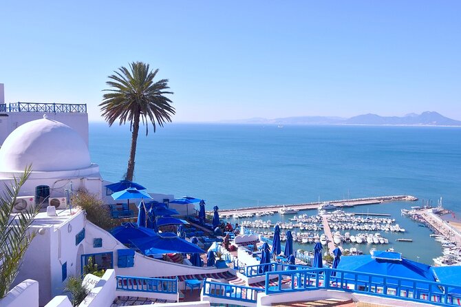 Unveiling the Beauty of Sidi Bou Said and Carthage Private Tour - Why this compact tour works well