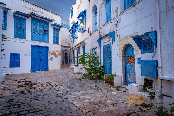 Unveiling the Beauty of Sidi Bou Said and Carthage Private Tour - Taking the coastal road to Sidi Bou Said