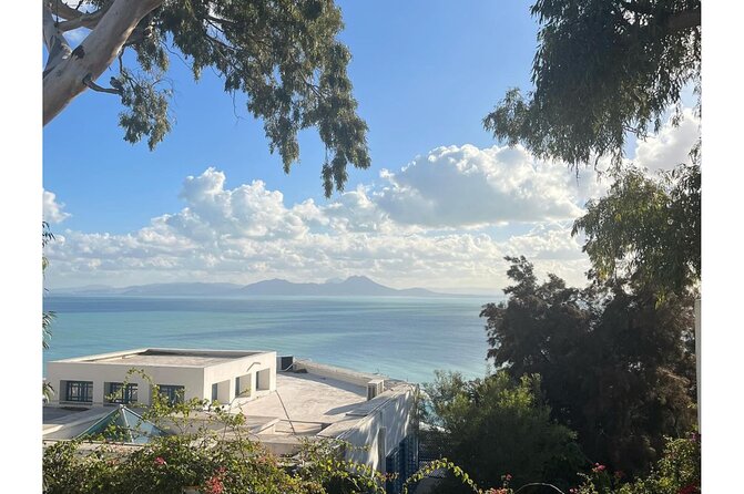 VIP Tour: Tunis Medina/Bardo, Sidi Bou Said, Carthage |PICKUP ALL - From Sousse to the Northern Capital