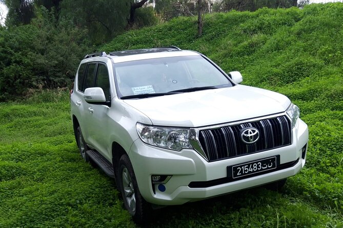 VIP transfer between Tunis Carthage Airport and a hotel in Tunis - The Airport Pickup: Finding Your Driver Inside Arrivals