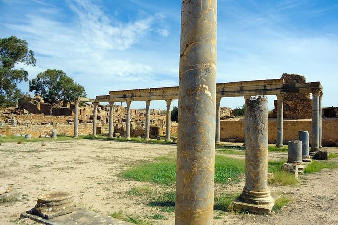 Zaghouan, Thuburbo Majus and Dougga Private Self-Guided Excursion from Hammamet - Why this private Hammamet day trip works
