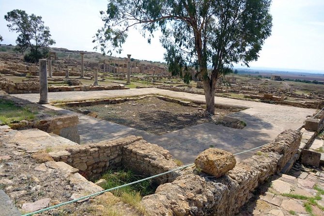 Zaghouan, Thuburbo Majus and Dougga Private Self-Guided Excursion from Hammamet - What the $279.58 price really buys